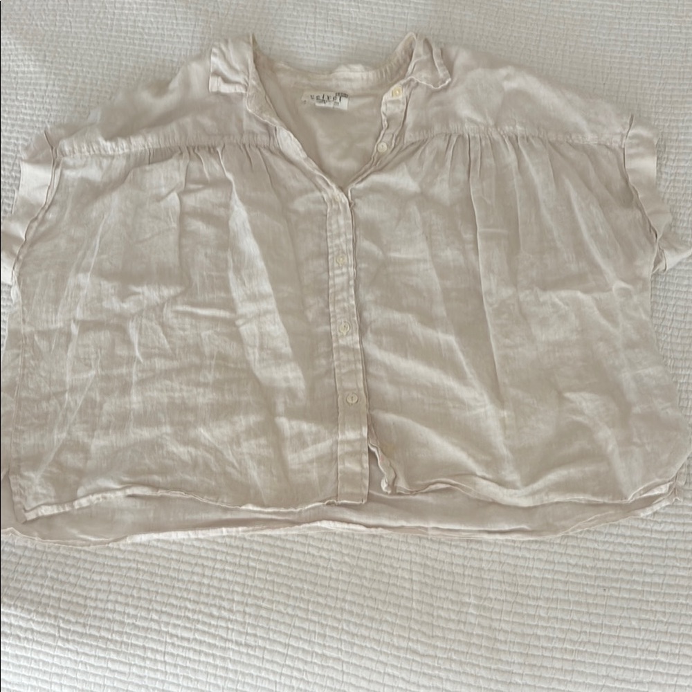 Velvet by Graham & Spencer Cream Blouse